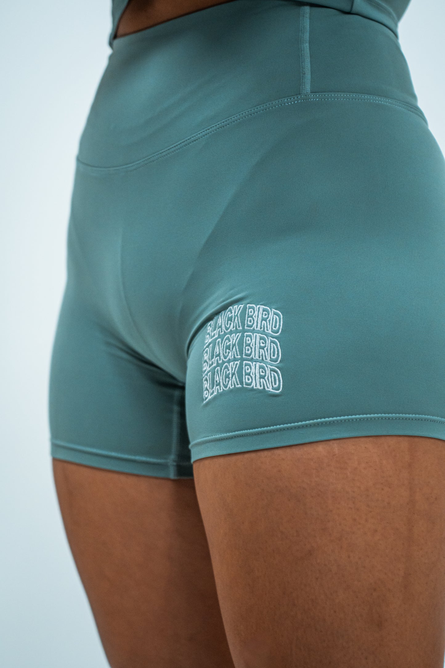 Mint Lifting Shorts