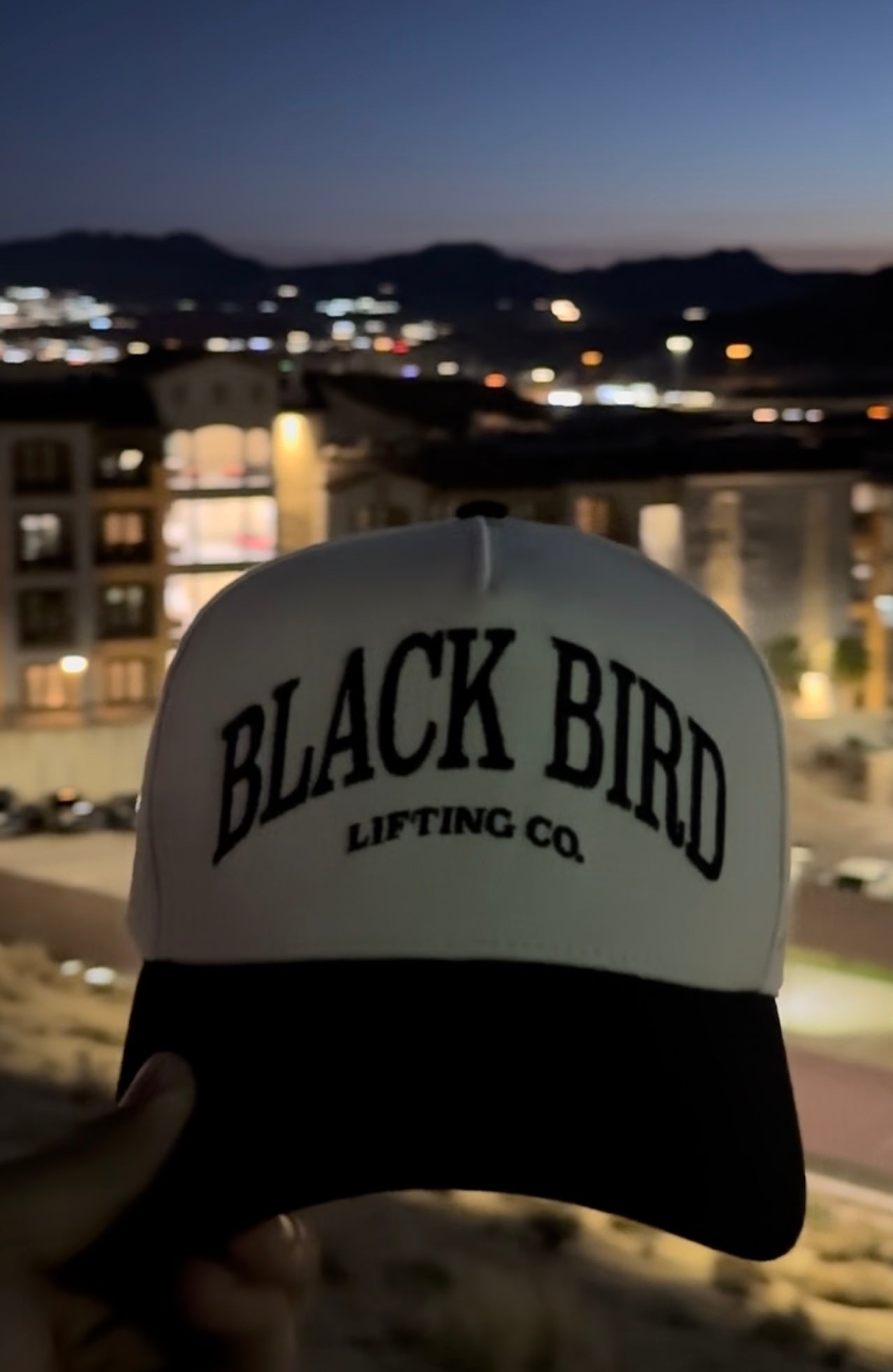 BlackBird Signature Off-white A-Frame Hat