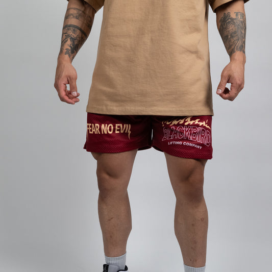 Maroon Mesh Double Layered Shorts