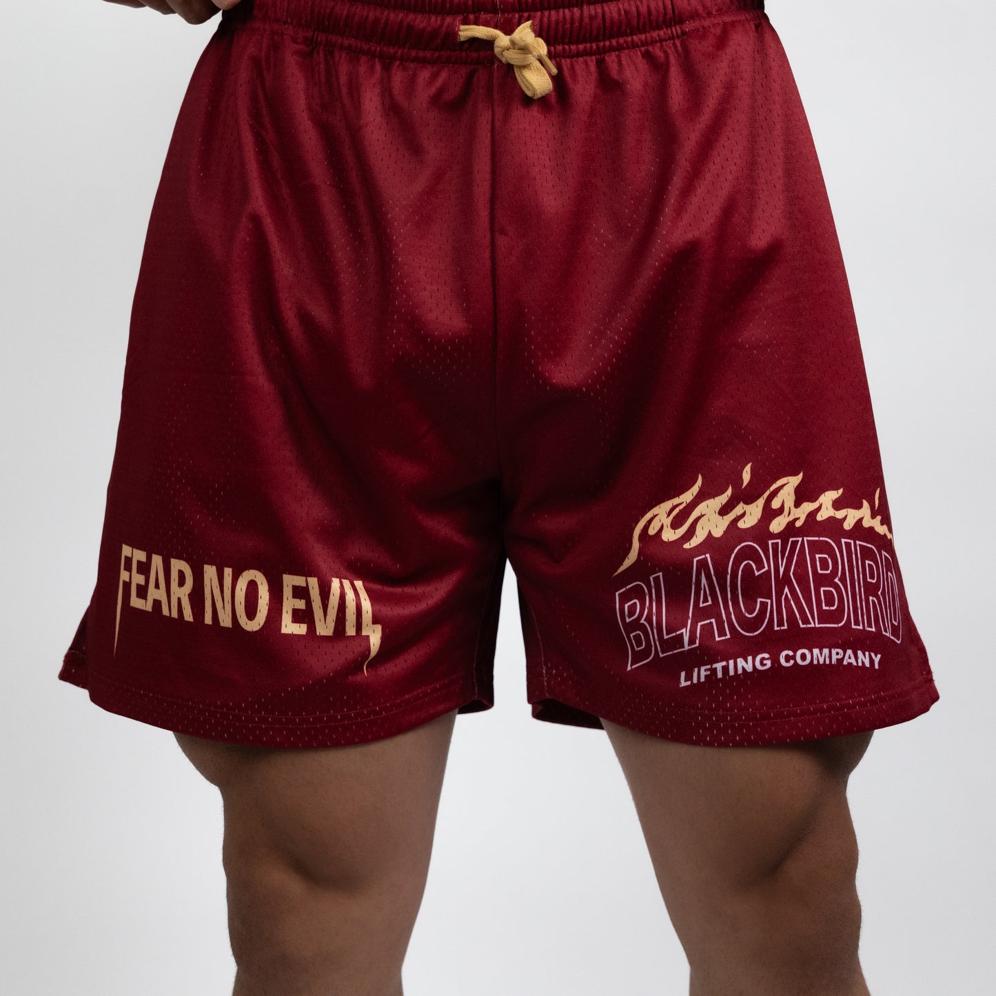 Maroon Mesh Double Layered Shorts