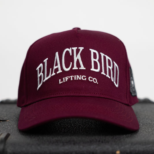 Fear No Evil Maroon Baseball Cap